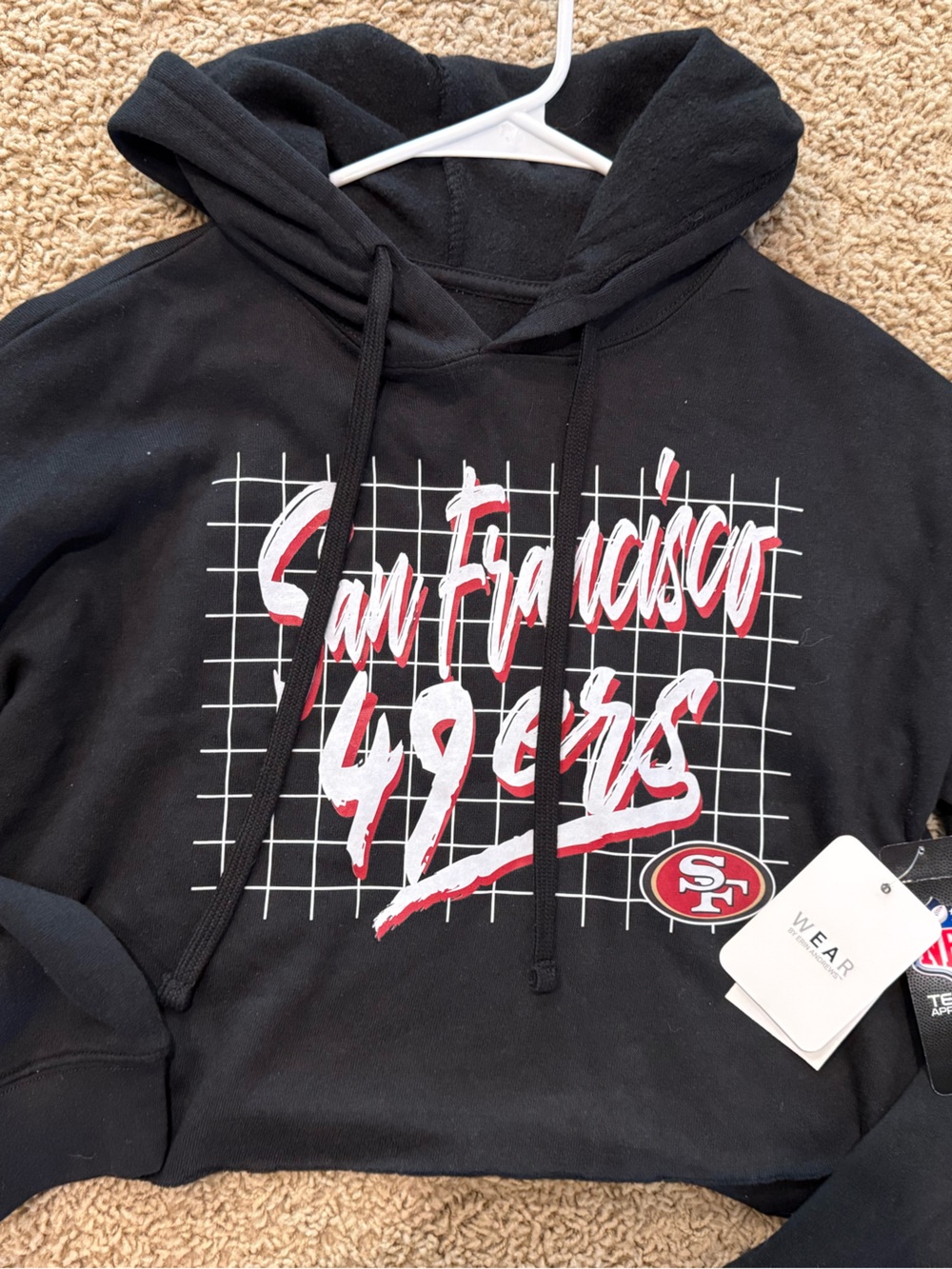 San Francisco 49ers Black Graphic Pullover Hoodie